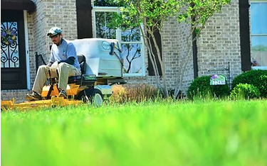 Routine Lawn Service - Routine Mowing Services
We offer routine weekly/biweekly mowing services. All mowing service visits include edging along concrete areas, trimming the perimeter of the lawn, and cleaning up residual debris. Routine Lawn Service - Routine Mowing Services
We offer routine weekly/biweekly mowing services. All mowing service visits include edging along concrete areas, trimming the perimeter of the lawn, and cleaning up residual debris.