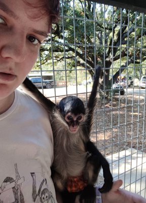 Private Tour - Enjoy a 1.5-hour private interactive tour at Funky Monkey Ranch, where you’ll get up close with exotic animals in a safe, hands-on experience. Meet monkeys, sloths, lemurs, otters, foxes, and reptiles, with food provided for handfeeding select animals. $250 for 1-2 guests, $50 per additional guest (max 8). Book now! Private Tour - Enjoy a 1.5-hour private interactive tour at Funky Monkey Ranch, where you’ll get up close with exotic animals in a safe, hands-on experience. Meet monkeys, sloths, lemurs, otters, foxes, and reptiles, with food provided for handfeeding select animals. $250 for 1-2 guests, $50 per additional guest (max 8). Book now!