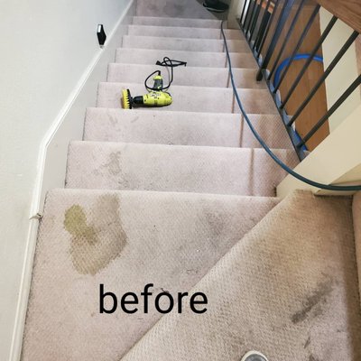 Carpet, Upholstery, and Tile Cleaning - FH Carpet Cleaning provides exceptional cleaning to a variety of tile, carpets, and upholstery services in the Orange County and surrounding areas. Carpet, Upholstery, and Tile Cleaning - FH Carpet Cleaning provides exceptional cleaning to a variety of tile, carpets, and upholstery services in the Orange County and surrounding areas.