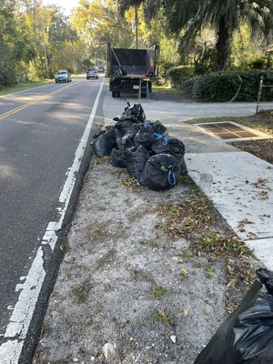 Yard Debris Commercial Pick Up - Customer had these bags full of leaves sitting in front of her business for a month. The city had not been able to pick them up. She called We Toss It for same day pick up and we delivered. Yard Debris Commercial Pick Up - Customer had these bags full of leaves sitting in front of her business for a month. The city had not been able to pick them up. She called We Toss It for same day pick up and we delivered.