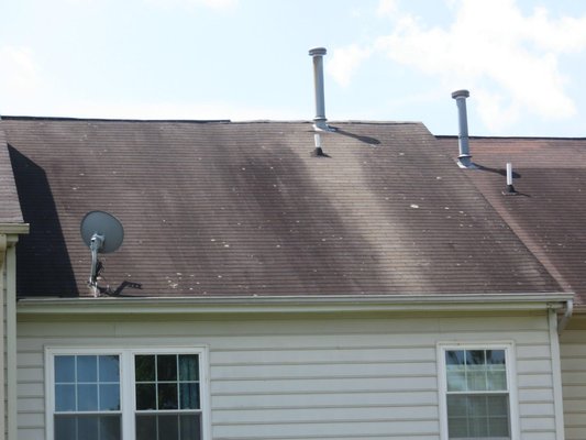Roof Replacement, Wood Replacement and Exterior Painting - This townhome had extensive wood rot from neglect. The 1st step we removed all the shingles to find out what was damaged then proceeded to replace the damaged plywood. New shingles were installed with all the proper underlayment's and flashings. The 2nd step was to power wash and remove all the rotted would on the exterior and replace. 3rd step Exterior paint!! Roof Replacement, Wood Replacement and Exterior Painting - This townhome had extensive wood rot from neglect. The 1st step we removed all the shingles to find out what was damaged then proceeded to replace the damaged plywood. New shingles were installed with all the proper underlayment's and flashings. The 2nd step was to power wash and remove all the rotted would on the exterior and replace. 3rd step Exterior paint!!
