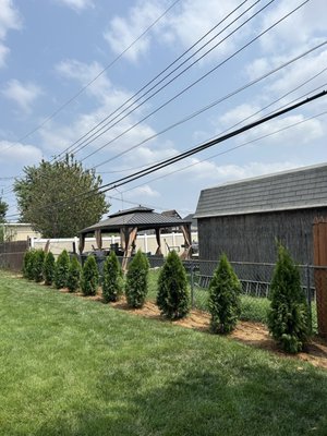 Plantings - We can help you design and plant anything!