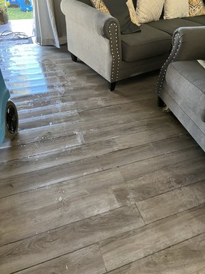 Water Mitigation - Call today for all your water fire mold and cleaning restoration needs. Water Mitigation - Call today for all your water fire mold and cleaning restoration needs.