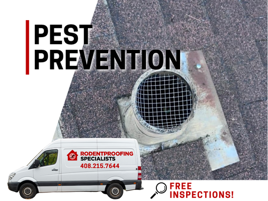 Pest Prevention Services - Pest Prevention Services