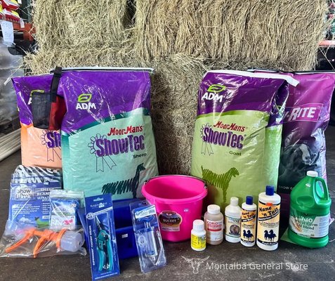 Livestock Feed - We cater to all animals from rabbits to cattle,  and chickens to horses.  Need something special, let us know and we will try to get it in for you.  Show feeds are available as well.