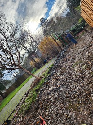 Fence Installation - After the wind storm, we had in Oregon the customer's fence fell, so he decided it was time for a new fence. Fence Installation - After the wind storm, we had in Oregon the customer's fence fell, so he decided it was time for a new fence.