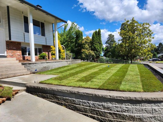 Beautiful project in Vancouver, Wa - For this Vancouver, WA landscaping project, Daniel V. Landscaping completely transformed a challenging front yard slope by installing a retaining wall, creating a level and visually appealing space. The addition of lush sod in both the front and back yards provided a vibrant and healthy green landscape. To maintain this new greenery, we installed a state-of-the-art irrigation system, ensuring the sod remains in peak condition throughout the year. Our project also included strategically placed lighting around the retaining wall and the home, enhancing curb appeal and creating a warm, inviting atmosphere during the evening hours. If you're in Vancouver, WA and looking for expert landscaping solutions, this project is a perfect example of how Daniel V. Landscaping can elevate your outdoor space.
