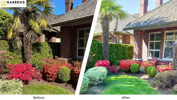 Landscape Gardening - The client was unable to maintain her overgrown garden, so we stepped in to thoroughly clear and tidy the space, enhancing both its safety and visual appeal.