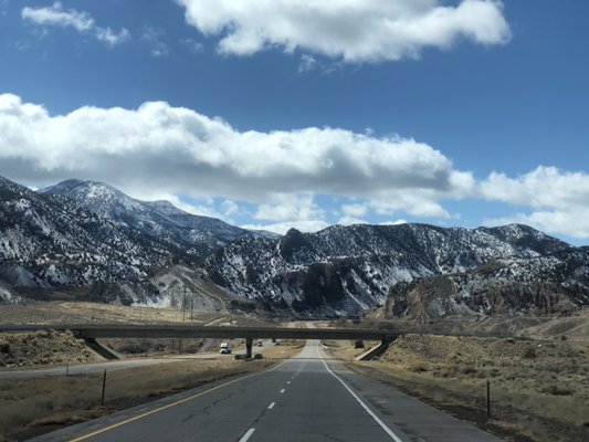 Long distance moving - Efficiency and professionalism is our key to make our clients happy. We offer best and accurate virtual or in person visit estimates.