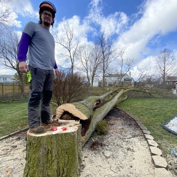 Removals - Unfortunately, sometimes trees should be removed.  Whether the tree has died or shows signs of heavy decay, trees can become dangerous.  When there are no preservation options, the tree(s) should be removed.  Having a qualified and safe tree company remove your trees is essential.  At Arborist Solutions we always put safety above all.  Safety of our workers, and safety of your property.  Each employee is wearing chainsaw protective pants, a hardhat fitted with communication (with other crew workers), and protective boots at all times.  Each crew member has been properly instructed on the importance of safety, and how to operate all of our equipment safely.