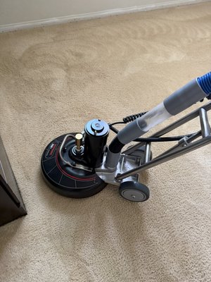 Deep Cleaning Magnified! - One bedroom carpet. Deep Cleaning Magnified! - One bedroom carpet.
