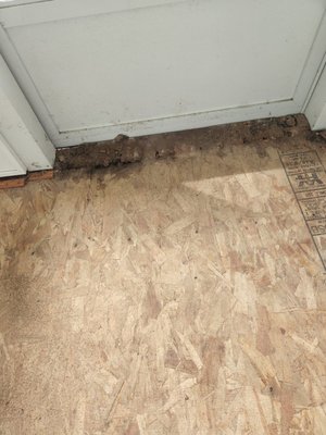 screen porch sub floor replacement. - Drainage was backing up into the floor.