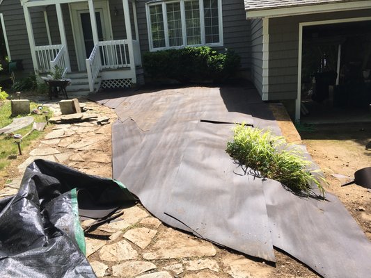 West Brookfield - Had to rip out all over grown ground cover plus installed under layment then installed tarp on top . Also trim pine hedges laid fresh mulch West Brookfield - Had to rip out all over grown ground cover plus installed under layment then installed tarp on top . Also trim pine hedges laid fresh mulch