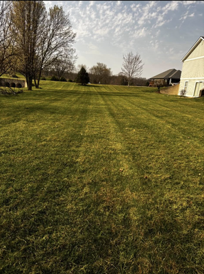 Lawn Care for Larger Yards - Wright’s Outdoor Services specializes in lawn care, brush removal, gravel work, barn cleanouts, and junk removal. Lawn Care for Larger Yards - Wright’s Outdoor Services specializes in lawn care, brush removal, gravel work, barn cleanouts, and junk removal.