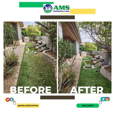 North Central Phoenix Project - Quick and Thorough Landscape Cleanup

This efficient one-afternoon cleanup project showcases the AMS Landscaping team's speed and attention to detail. We trimmed all bushes and shrubs to restore their shape, cut down and treated weeds to prevent regrowth, mowed all turf areas for a fresh, clean look, and thoroughly blew out landscaping debris. All green waste and debris were hauled away, leaving the property neat, tidy, and revitalized.