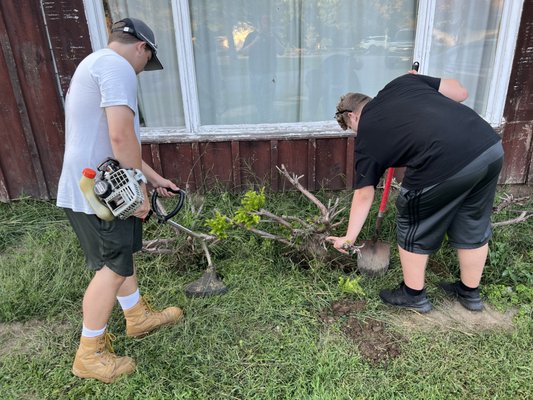 Root Removal 2023 - We were faced with the challenge of removing expired bushes while grappling with their persistent roots. Our client specifically requested a thorough extraction to establish a level flower bed, primed for the cultivation of various floral arrangements and plantings. Root Removal 2023 - We were faced with the challenge of removing expired bushes while grappling with their persistent roots. Our client specifically requested a thorough extraction to establish a level flower bed, primed for the cultivation of various floral arrangements and plantings.