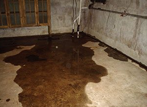 Waterproofing Services - New York's most experienced basement waterproofer!
Here at Adirondack Basement Systems, we've been fixing wet basements in neighborhoods like yours since 1998. Our certified technicians have the expertise you need to get the job done quickly, effectively, and permanently. There's no job too large or small -- and there's no wet basement we can't fix!
Let one of our basement experts come and give you a free waterproofing estimate. We want to help you make your basement dry all the time!
Through years of research, Basement Systems®, Inc. has developed the most effective and long-term solutions for wet basements. Their products have been keeping basements dry in the United States, Canada, and the United Kingdom since 1987.
To date, our waterproofing systems have been used to repair hundreds of thousands of basements and crawl spaces worldwide!
Our Innovative Approach:
We've taken the best concepts from conventional waterproofing methods and combined them to create the most innovative, effective systems in the industry.
These products include French drains and sump pump systems that are custom-designed to handle all problems that arise in below-grade spaces. Waterproofing Services - New York's most experienced basement waterproofer!
Here at Adirondack Basement Systems, we've been fixing wet basements in neighborhoods like yours since 1998. Our certified technicians have the expertise you need to get the job done quickly, effectively, and permanently. There's no job too large or small -- and there's no wet basement we can't fix!
Let one of our basement experts come and give you a free waterproofing estimate. We want to help you make your basement dry all the time!
Through years of research, Basement Systems®, Inc. has developed the most effective and long-term solutions for wet basements. Their products have been keeping basements dry in the United States, Canada, and the United Kingdom since 1987.
To date, our waterproofing systems have been used to repair hundreds of thousands of basements and crawl spaces worldwide!
Our Innovative Approach:
We've taken the best concepts from conventional waterproofing methods and combined them to create the most innovative, effective systems in the industry.
These products include French drains and sump pump systems that are custom-designed to handle all problems that arise in below-grade spaces.