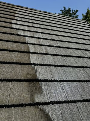 Insurance Letter Roof Soft Washing - Stop premature roof replacements . Insurance companies are not insuring homes that have organic growth or dirt on roof . Give us a call for a free quote !