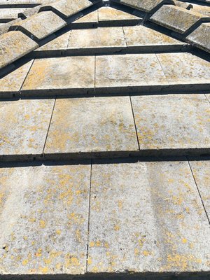 Moss Removal - This customer called us because his home was looking a little rough and unsightly from the street. He had us out to take care of this and WOW was the transformation worth it! Moss Removal - This customer called us because his home was looking a little rough and unsightly from the street. He had us out to take care of this and WOW was the transformation worth it!