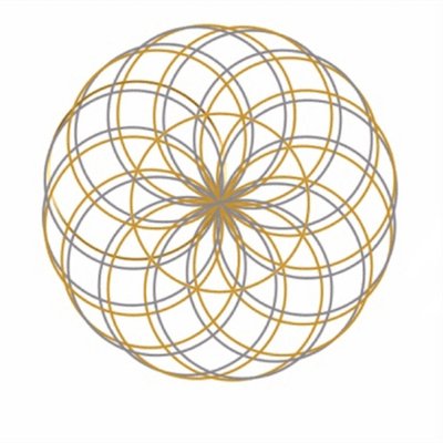 Raise Your Vibration - 10 Day Total Body Reset, Set Goals, Cleanse, Regenerate, Elevate. Body, Mind, Spirit.