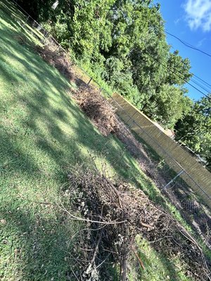 Brush cleanup - This cleanup was done in a customers backyard after a storm.