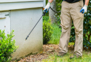 Perimeter Pest Control - Eliminate unwanted pests from entering your home and foundation by providing an outer barrier protection plan. Perimeter Pest Control - Eliminate unwanted pests from entering your home and foundation by providing an outer barrier protection plan.