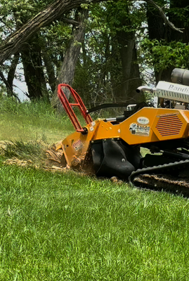 Stump Grinding - Professional removal of tree stumps using state-of-the-art grinding equipment. We can handle stumps of any size.