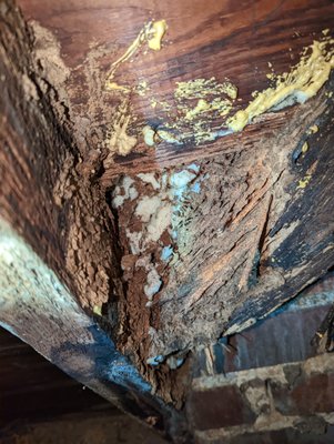 termite problems - These are just random issues of termite problems we have run into. Yelp recommended that we sort our pictures to make it easier for people to stare at.