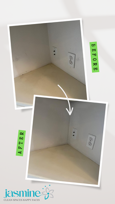 Before and after pictures from Downers Grove - The results after our service in big house in Downers Grove .