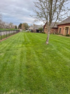 Full Lawn Care - We understand that your property is a big investment and we want our customers to know that we are there for them to help them accomplish the dreams that they may have for there property. From new construction landscaping to existing landscapes that need a facelift, our professional staff helps you. Makes the landscape experience just that, an experience. Full Lawn Care - We understand that your property is a big investment and we want our customers to know that we are there for them to help them accomplish the dreams that they may have for there property. From new construction landscaping to existing landscapes that need a facelift, our professional staff helps you. Makes the landscape experience just that, an experience.