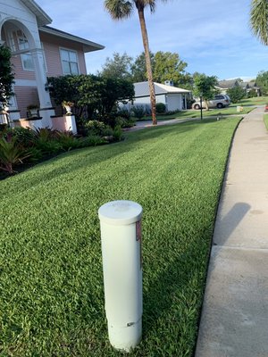 Some of Lawn Services by BJ work. - All beautiful lawns done by Lawn Services by BJ.