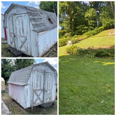 Shed removal and yard clean out - Huge yard clean out and shed demo