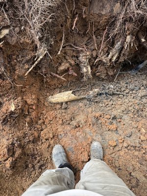 Roots are a problem! - This system was not working at all. The tank was overflowing into the yard and backing up towards the house. Supply line was found broken and full of tree roots. Replaced the supply line with new PVC and upgraded the drain line to help stop blockages and roots in the future. New risers installed and Septic was pumped after completion. Roots are a problem! - This system was not working at all. The tank was overflowing into the yard and backing up towards the house. Supply line was found broken and full of tree roots. Replaced the supply line with new PVC and upgraded the drain line to help stop blockages and roots in the future. New risers installed and Septic was pumped after completion.