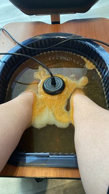 NEW Foot Detox Treatments - New foot detox treatments will remove toxins and more from your body!