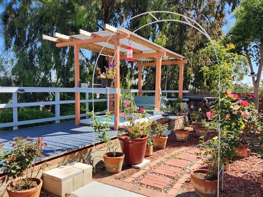 Backyard deck and garden - Backyard makeover with a new deck, fence, rose garden with an arch and 3 vegetable beds. Backyard deck and garden - Backyard makeover with a new deck, fence, rose garden with an arch and 3 vegetable beds.