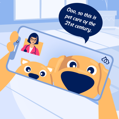 Modern, mobile veterinary care for happier pets - Reduce your pet's fear and stress with our mobile veterinary experience. Get the expert services your pet needs in the comfort of your home. Examining your pet virtually or in home keeps your furry family feeling safe and happy, and lets our mobile veterinarians better evaluate your pet in their natural environment. The BetterVet experience is only a few clicks away! Modern, mobile veterinary care for happier pets - Reduce your pet's fear and stress with our mobile veterinary experience. Get the expert services your pet needs in the comfort of your home. Examining your pet virtually or in home keeps your furry family feeling safe and happy, and lets our mobile veterinarians better evaluate your pet in their natural environment. The BetterVet experience is only a few clicks away!