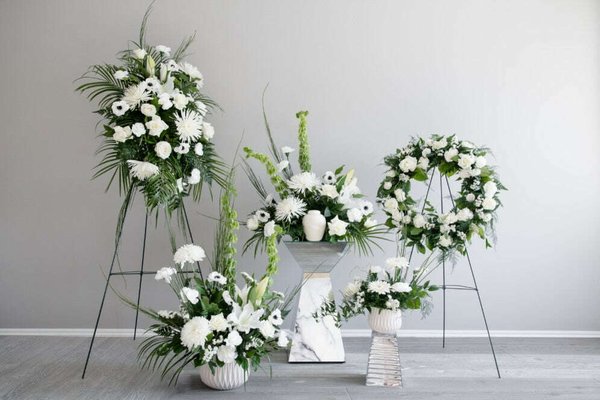 Sympathy & Funeral Flowers - At Floral Fixx Design Studio, we offer a compassionate selection of sympathy flowers and funeral arrangements to honour your loved ones. Our collection includes casket sprays, urn tributes, service arrangements, and wreaths.
Choose from options like the Peace Collection, Comfort Collection, and Serenity Collection, each designed to provide comfort and elegance during difficult times.
We also offer custom tributes to personally honour your loved one's memory.
Browse our portfolio to see our heartfelt work. Let us help you express your sympathy with flowers that provide comfort and solace.
Book your flowers and rentals today! Sympathy & Funeral Flowers - At Floral Fixx Design Studio, we offer a compassionate selection of sympathy flowers and funeral arrangements to honour your loved ones. Our collection includes casket sprays, urn tributes, service arrangements, and wreaths.
Choose from options like the Peace Collection, Comfort Collection, and Serenity Collection, each designed to provide comfort and elegance during difficult times.
We also offer custom tributes to personally honour your loved one's memory.
Browse our portfolio to see our heartfelt work. Let us help you express your sympathy with flowers that provide comfort and solace.
Book your flowers and rentals today!