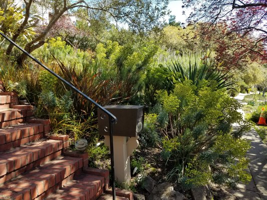 Drought tolerant garden - Front yard garden filled with drought tolerant plants Drought tolerant garden - Front yard garden filled with drought tolerant plants