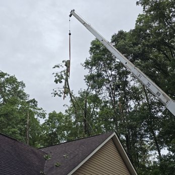 Crane-Assisted Tree Removal - Crane-assisted tree removal is the safest and most effective method for removing large, hazardous, or difficult-to-access trees. When a tree is located close to homes, power lines, or in a tight space where traditional removal isn’t possible, we use specialized cranes to carefully lift and remove the tree piece by piece.
Our experienced team expertly plans each lift, securing tree sections with heavy-duty rigging and operating the crane to safely maneuver branches and trunks away from your property. This technique minimizes the risk of damage to your structures, landscaping, and surrounding areas, and allows for faster, more controlled removals—even in challenging conditions. Crane-Assisted Tree Removal - Crane-assisted tree removal is the safest and most effective method for removing large, hazardous, or difficult-to-access trees. When a tree is located close to homes, power lines, or in a tight space where traditional removal isn’t possible, we use specialized cranes to carefully lift and remove the tree piece by piece.
Our experienced team expertly plans each lift, securing tree sections with heavy-duty rigging and operating the crane to safely maneuver branches and trunks away from your property. This technique minimizes the risk of damage to your structures, landscaping, and surrounding areas, and allows for faster, more controlled removals—even in challenging conditions.