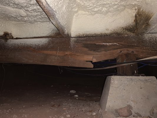 Moisture can destroy your home - This was a custom built home, less than seven years old. The homeowners noticed over the last year that the living room floor was sagging and sinking more and more. I came out to inspect what was going on. Upon examination, I quickly discovered why the floor was sagging, the entire girder and joist system was saturated with with moisture and decomposing. The whole living room and kitchen floor had to be rebuilt as a result of this damage. Moisture intrusion is a serious concern and it’s important to find and correct as soon as possible. A regular, annual home maintenance inspection can help find these problems so you can have them corrected before it becomes catastrophic. Moisture can destroy your home - This was a custom built home, less than seven years old. The homeowners noticed over the last year that the living room floor was sagging and sinking more and more. I came out to inspect what was going on. Upon examination, I quickly discovered why the floor was sagging, the entire girder and joist system was saturated with with moisture and decomposing. The whole living room and kitchen floor had to be rebuilt as a result of this damage. Moisture intrusion is a serious concern and it’s important to find and correct as soon as possible. A regular, annual home maintenance inspection can help find these problems so you can have them corrected before it becomes catastrophic.