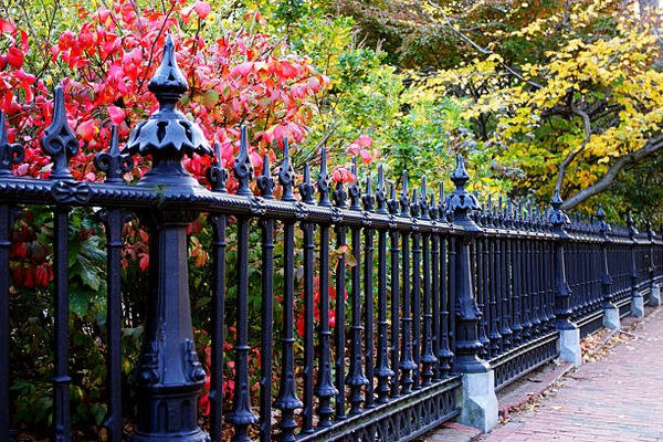 Fence and Gate Installation - Our fence and gate installation services provides secure, durable, and stylish solutions for residential and commercial properties. Using high-quality materials like wood, vinyl, metal, and chain-link, experts ensure strong, long-lasting fences that enhance privacy, security, and curb appeal. With precise installation and attention to detail, a well-built fence or gate adds both functionality and aesthetic value to any property. Fence and Gate Installation - Our fence and gate installation services provides secure, durable, and stylish solutions for residential and commercial properties. Using high-quality materials like wood, vinyl, metal, and chain-link, experts ensure strong, long-lasting fences that enhance privacy, security, and curb appeal. With precise installation and attention to detail, a well-built fence or gate adds both functionality and aesthetic value to any property.