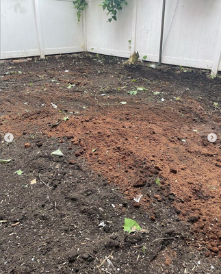 Backyard Cleanup - Backyard cleanup in Brooklyn. Contact us today!