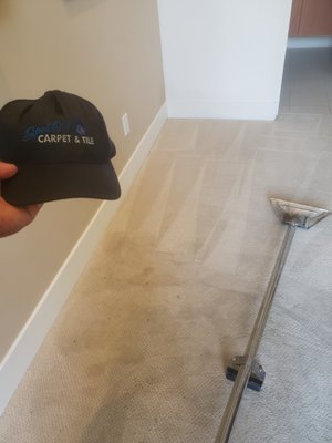 "Carpet Cleaning" - This bedroom carpet was in bad condition due to pets and being a light colored carpet, we were able to restore back to it's original colors.