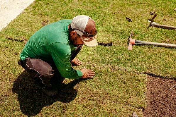 Sod Installation 🌱 - 🌱 Revitalize Your Lawn with Jose the Gardener! 🌱

Is your yard looking a little worn out? Transform it into a lush oasis with professional sod installation from Jose the Gardener!

🌟 Why Choose Jose?
- Expertise: With years of experience, Jose ensures a perfect fit for your space.
- High-Quality Sod: We offer premium sod varieties that thrive in our local climate, as well as less expensive options.
- Quick & Efficient:  Enjoy a beautiful lawn in just a few days! 

🌼 Benefits of New Sod:
- Instant green beauty for your yard
- Enhanced curb appeal and property value
- A soft, safe play area for kids and pets


Don’t wait to enjoy the lawn of your dreams. Contact Jose today at 805-607-2323 to get started!

Your beautiful, vibrant lawn is just a call away! 🌿🏡