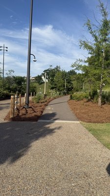 pine straw project finished in Mephis - We completed the installation and expansion of pine straw at Tom lee Park in Memphis. Our work included soil preparation, uniform pine straw coverage, and a meticulous finish designed to retain moisture, protect plants, and enhance the overall health of the landscape. We take pride in our attention to detail and commitment to quality, ensuring a healthier, more attractive, and well-maintained environment for years to come. Because the foundation of a healthy landscape begins with the soil. pine straw project finished in Mephis - We completed the installation and expansion of pine straw at Tom lee Park in Memphis. Our work included soil preparation, uniform pine straw coverage, and a meticulous finish designed to retain moisture, protect plants, and enhance the overall health of the landscape. We take pride in our attention to detail and commitment to quality, ensuring a healthier, more attractive, and well-maintained environment for years to come. Because the foundation of a healthy landscape begins with the soil.
