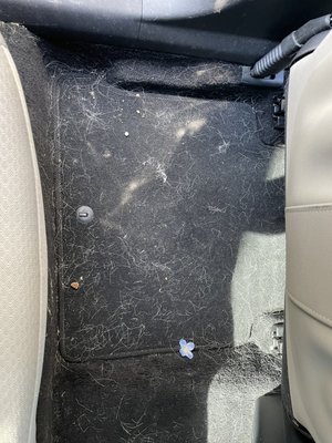 Interior Detail - This customer came to us wanting the dog hair and dirt removed from the vehicle so we did exactly that. Completely restored the look of the interior and left it with a new car smell again! Interior Detail - This customer came to us wanting the dog hair and dirt removed from the vehicle so we did exactly that. Completely restored the look of the interior and left it with a new car smell again!