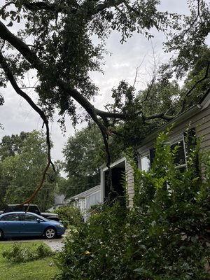 Solis Tree Service - Solis Tree Service for your services.
We’re excited to work for you at any time.
24/7 emergency service available at ALL times. Solis Tree Service - Solis Tree Service for your services.
We’re excited to work for you at any time.
24/7 emergency service available at ALL times.