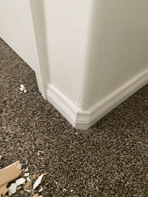 Removed and replaced chewed baseboard to restore a clean finish. - Replaced a section of baseboard that had been chewed and damaged. The new piece was cut to size, installed securely, and finished to match the surrounding trim for a clean, restored appearance.