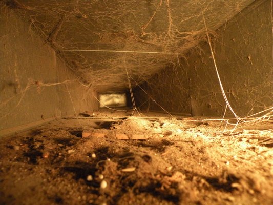 AIR DUCT CLEANING - It is recommended that your air ducts should be cleaned every 3-5 years!
Before and after pics of a typical job. AIR DUCT CLEANING - It is recommended that your air ducts should be cleaned every 3-5 years!
Before and after pics of a typical job.