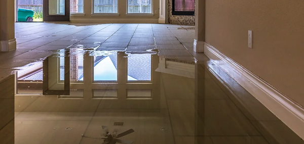 Water Damage/Restoration - WATER DAMAGE/REMEDIATION 24/7
Call for a Free Estimate!
Prices will vary depending on the space, size, level of damage, and so forth. Fill out as much information as you can and we’ll get back to you with a free estimate! We’ll also need to come by and see the space so please let us know a few good dates and times that work for an on-site consultation.
Water, although one of the most precious resources to man, can also be one of the most terrifying natural disasters, causing much costly damage to your most prized possessions. Types of water damage besides natural disaster can include plumbing failures, constructive defects, damage from freezing, improper maintenance etc. Water Damage/Restoration - WATER DAMAGE/REMEDIATION 24/7
Call for a Free Estimate!
Prices will vary depending on the space, size, level of damage, and so forth. Fill out as much information as you can and we’ll get back to you with a free estimate! We’ll also need to come by and see the space so please let us know a few good dates and times that work for an on-site consultation.
Water, although one of the most precious resources to man, can also be one of the most terrifying natural disasters, causing much costly damage to your most prized possessions. Types of water damage besides natural disaster can include plumbing failures, constructive defects, damage from freezing, improper maintenance etc.